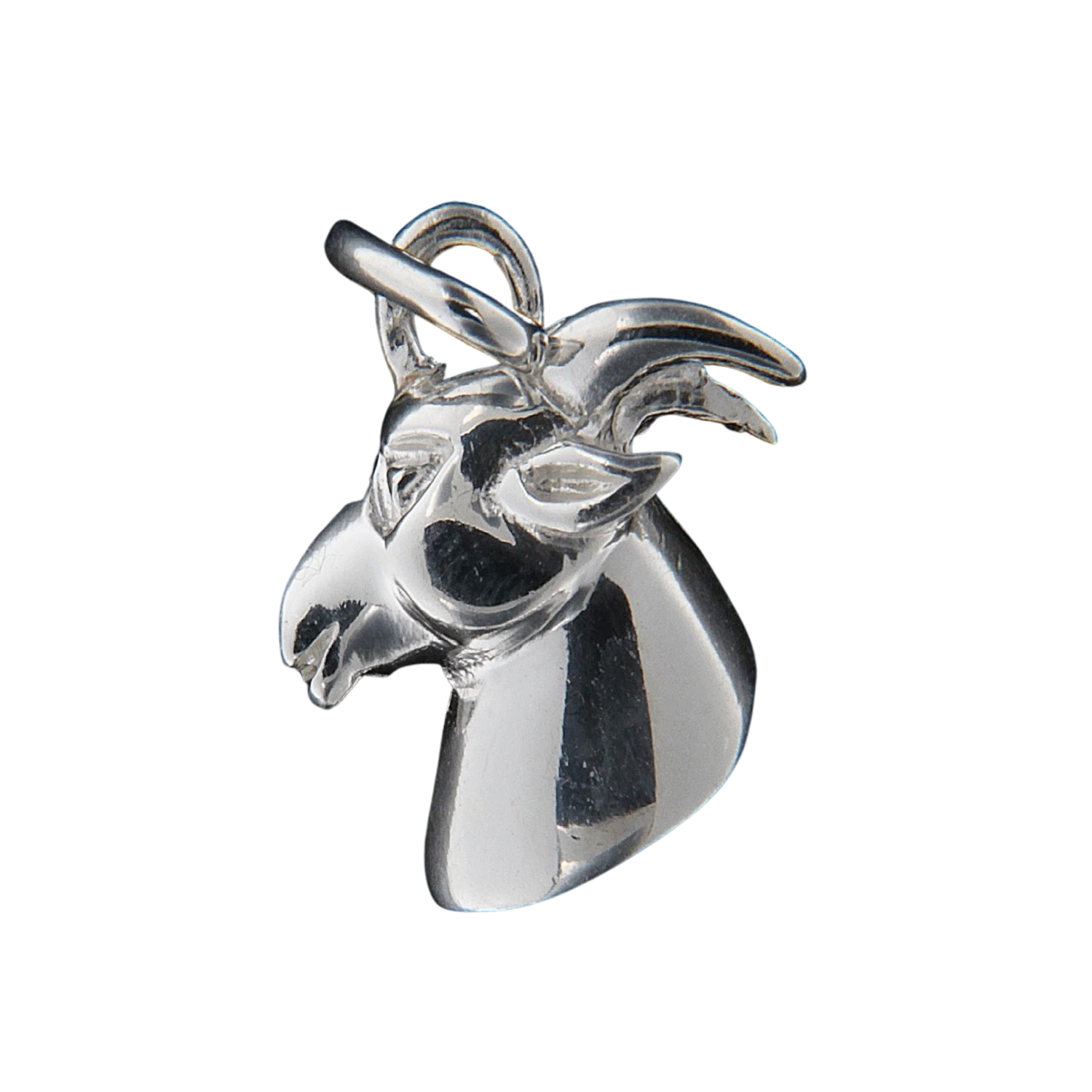 Strieborný prívesok 13760