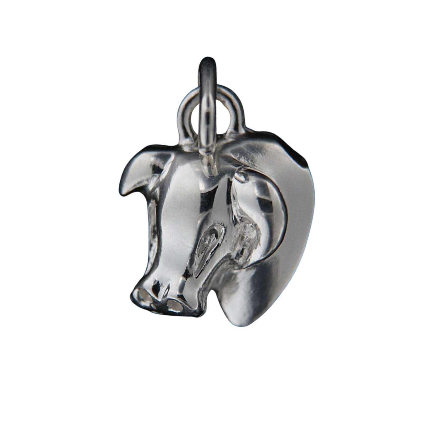 Strieborný prívesok 13753